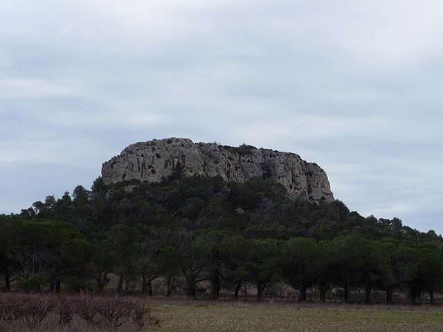 03.JPG (49074 bytes)